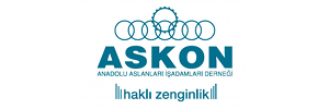 Logo-ASKON