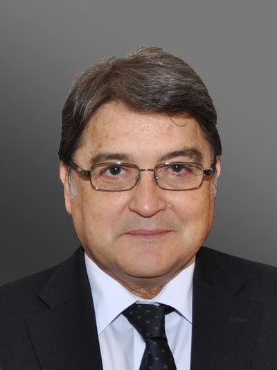 H.E. Mr. Emil Hurezeanu